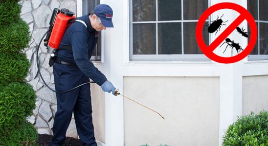 Selçuklu Fare İlaçlama böcek ilaçlama ve haşere kontrolü — ilaclama-tr.com